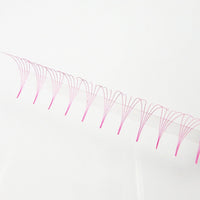 Pink 5D Rapid Promade Fans - 600 Fans