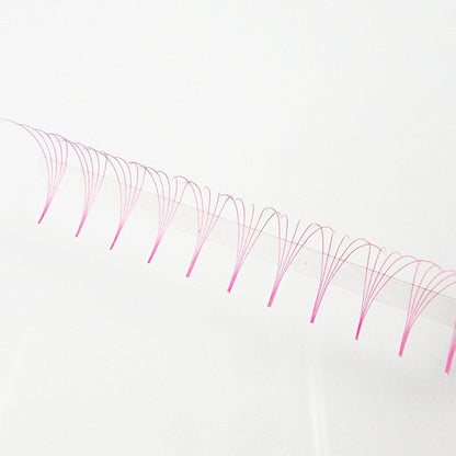 Pink 5D Rapid Promade Fans - 600 Fans