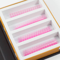 Pink 5D Rapid Promade Fans - 600 Fans