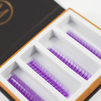 Purple 5D Rapid Promade Fans - 600 Fans