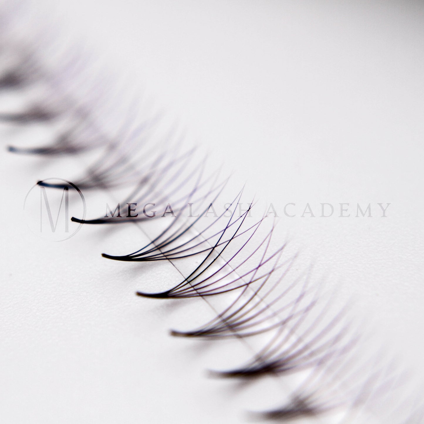 Purple Ombré 6D Rapid Promade Fans - 600 Fans