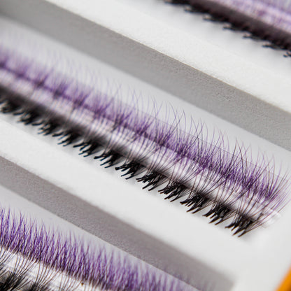 Purple Ombré 6D Rapid Promade Fans - 600 Fans