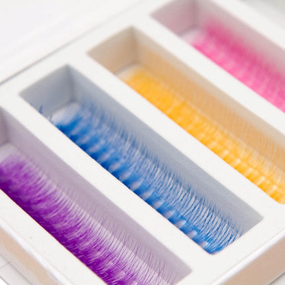 Rainbow 5D Rapid Promade Fans - 1050 Fans