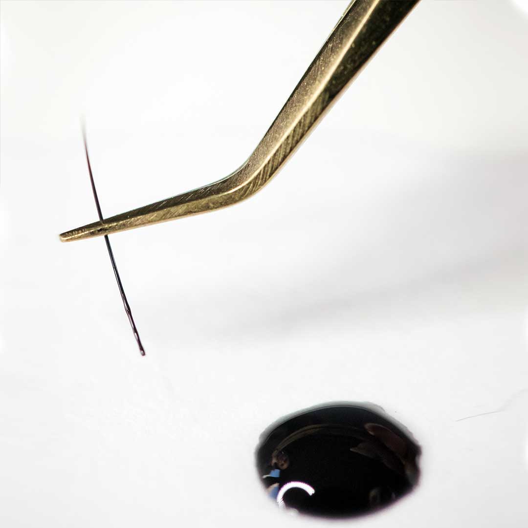 True Love | Quick-Dry Lash Extension Adhesive