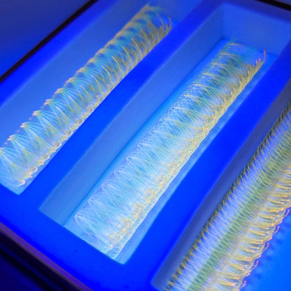 UV - Marigold 5D Rapid Promade Fans - 600 Fans