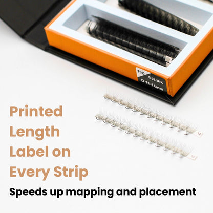 Wispy 7D Rapid Promade Fans - 500 Fans