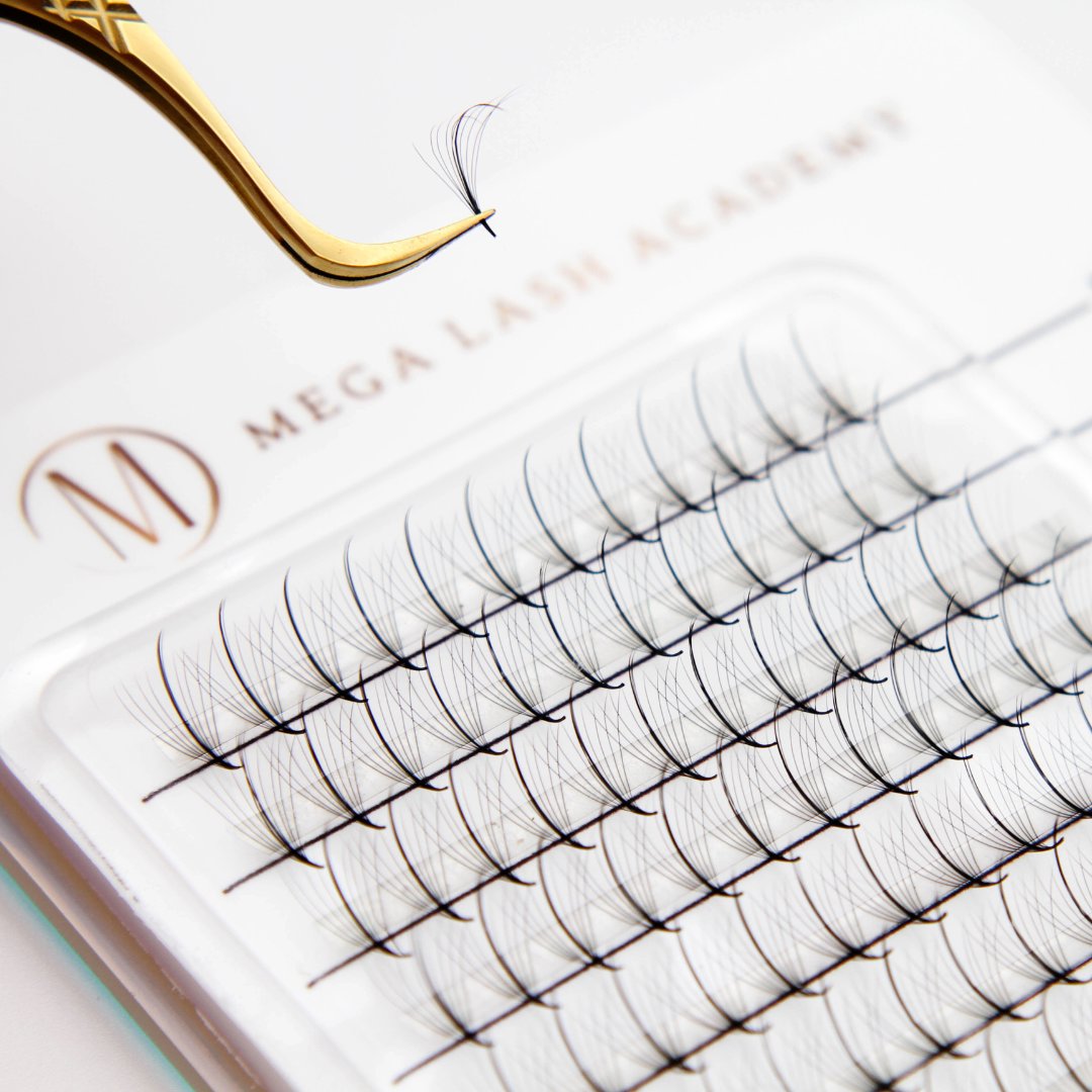 Wispy 9D Rapid Promade Fans - 500 Fans